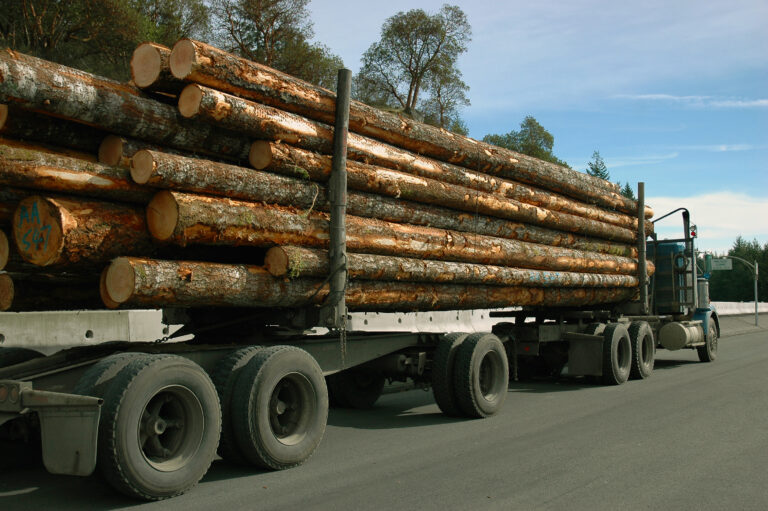 logging truck accident lawsuit